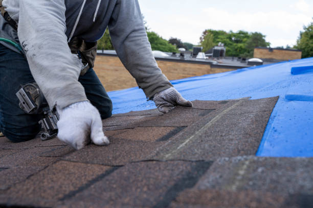 Quick and Trustworthy Emergency Roof Repair Services in Laramie, WY