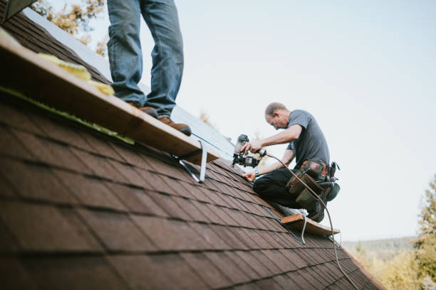 Professional Roofing Contractor in Laramie, WY